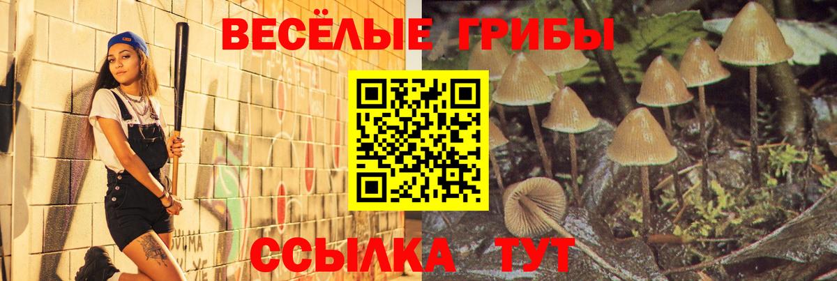 Псилоцибиновые грибы Cubensis  Вход с VPN  Северобайкальск  Псилоцибиновые грибы прущие грибы 